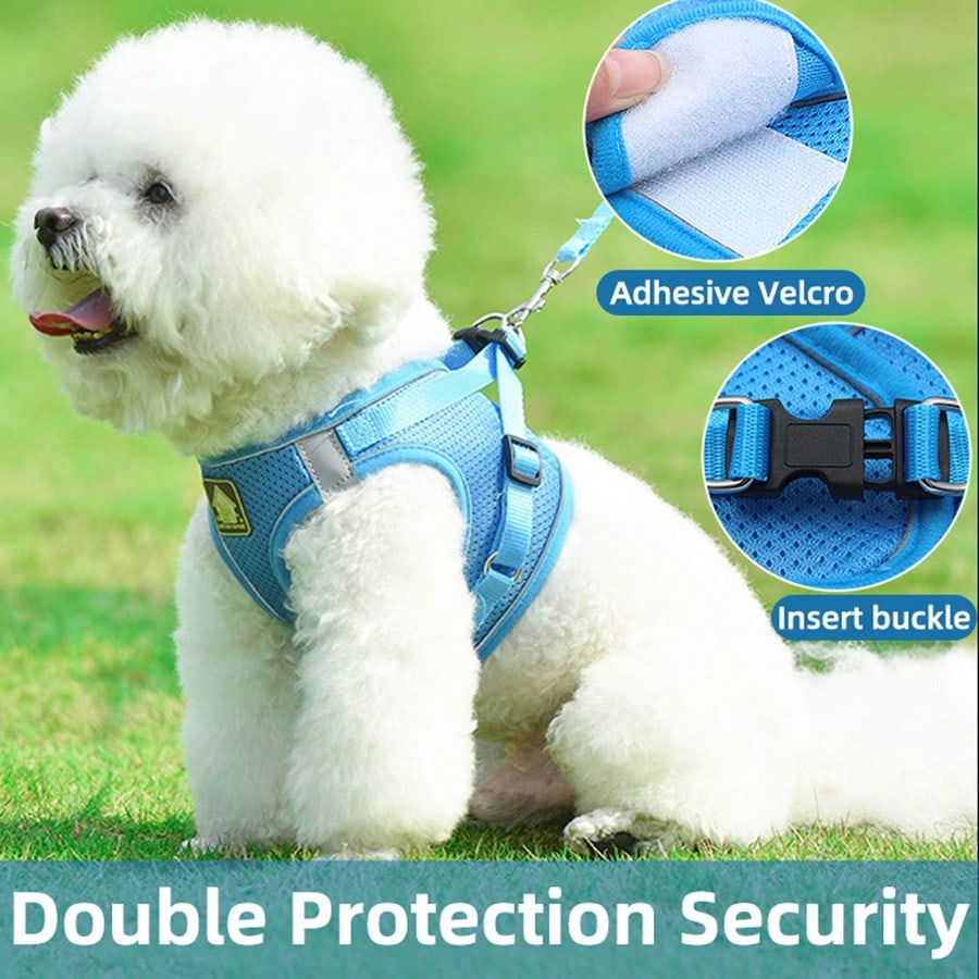 Adjustable vest-style pet harness and leash set for small and medium dogs and cats, made with breathable mesh and reflective stripes for no-pull walking.