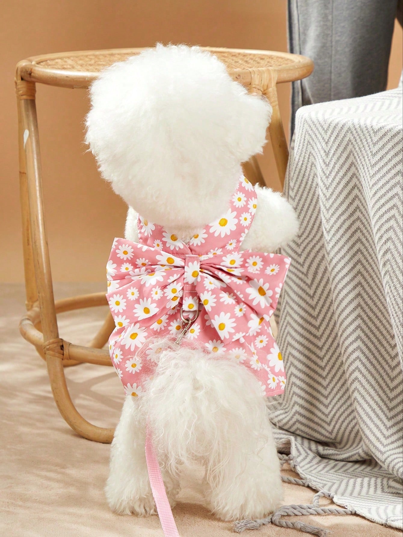 Multicolor daisy floral printed pet collar and leash set with bowknot detail for cats and dogs