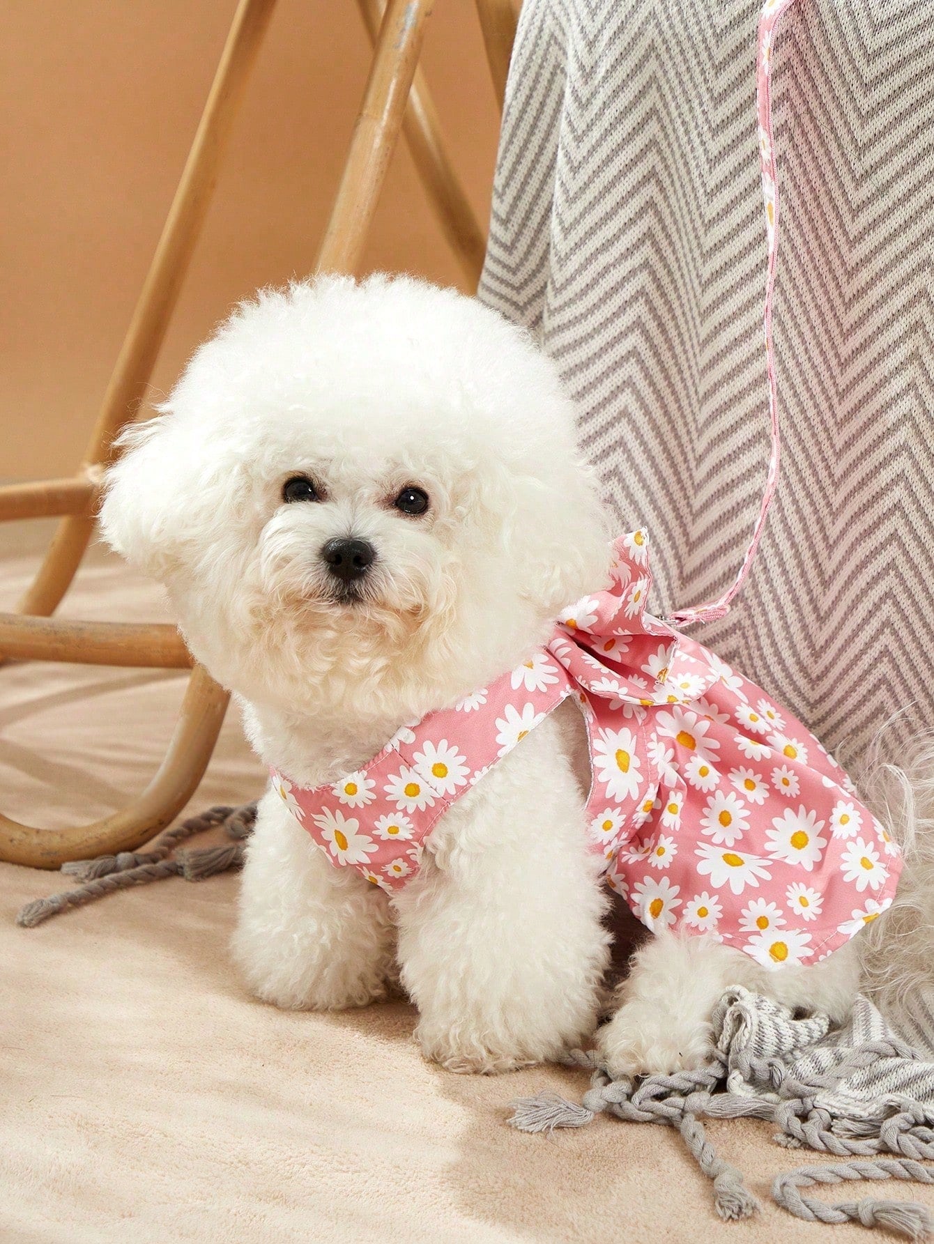 Multicolor daisy floral printed pet collar and leash set with bowknot detail for cats and dogs