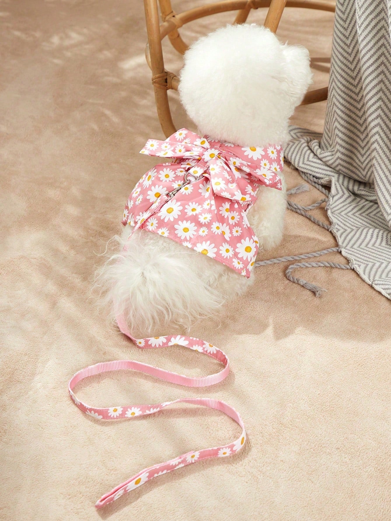 Multicolor daisy floral printed pet collar and leash set with bowknot detail for cats and dogs