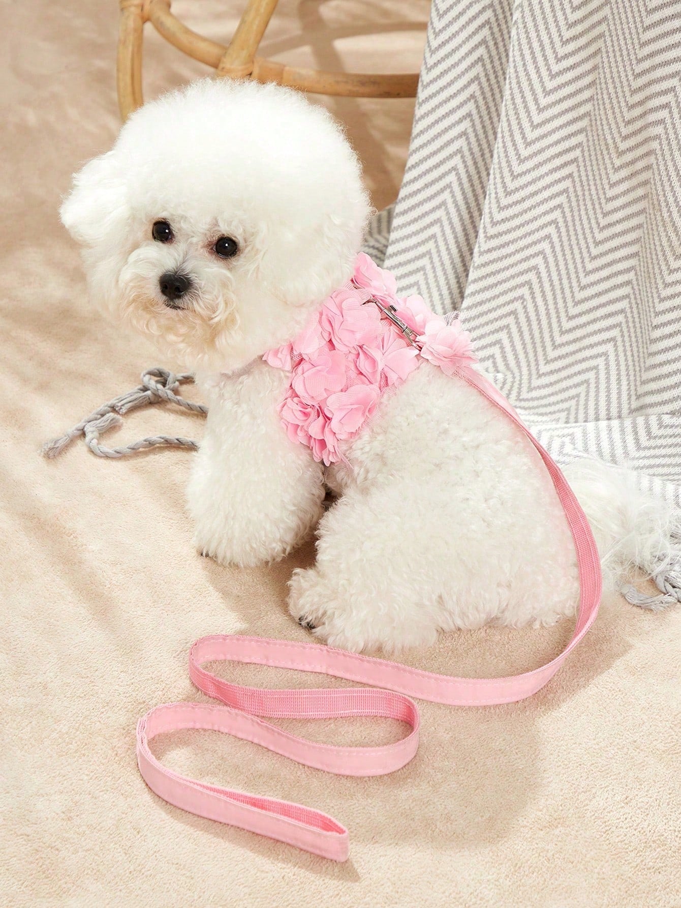 Multicolor floral patterned polyester chest harness and leash set for cats and dogs