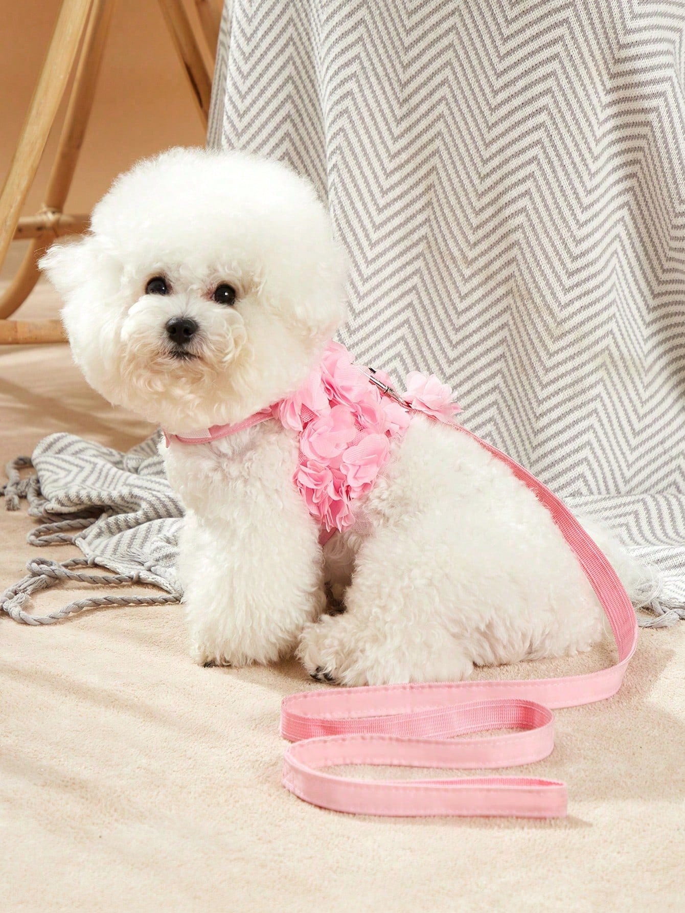 Multicolor floral patterned polyester chest harness and leash set for cats and dogs