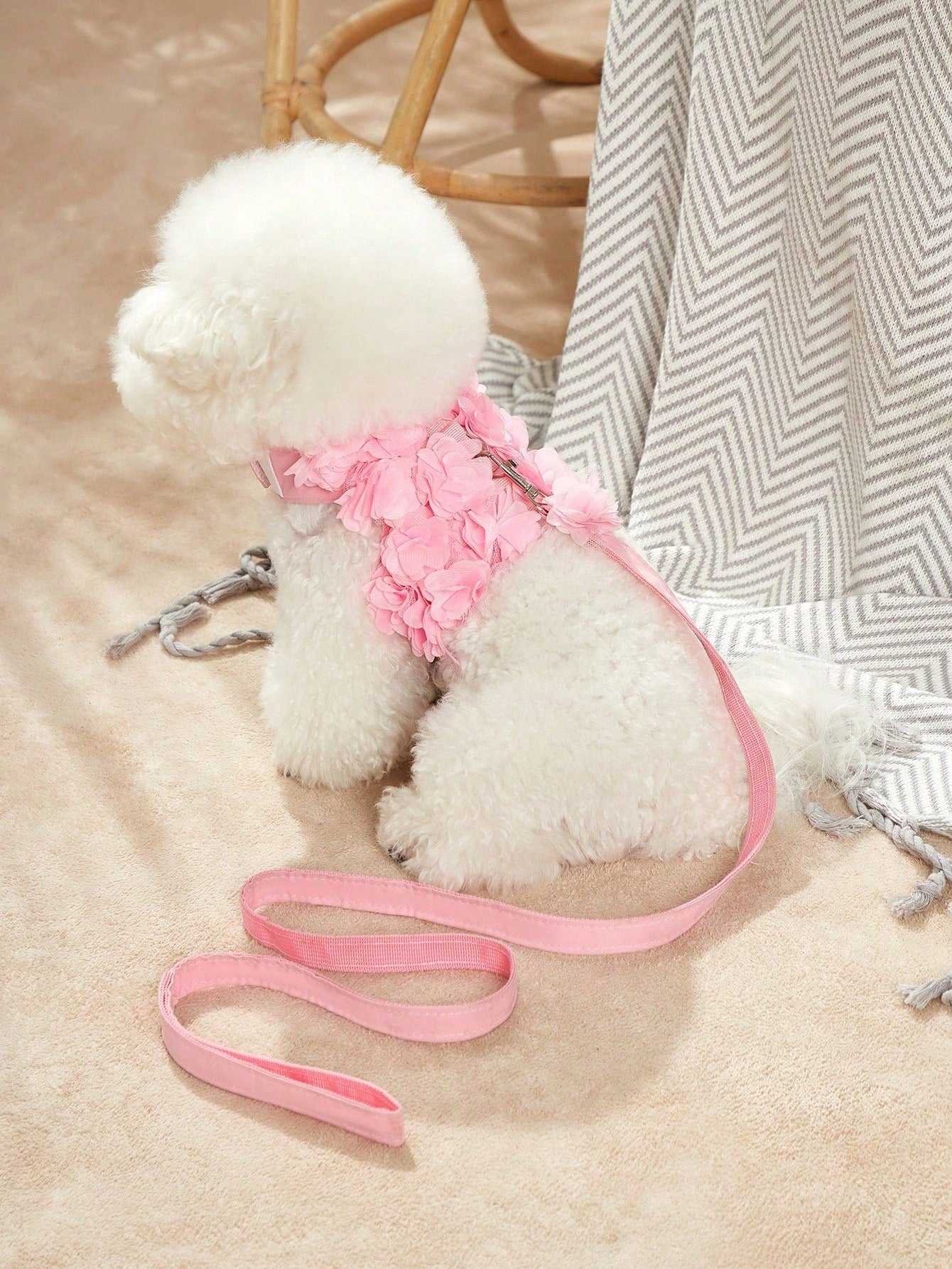 Multicolor floral patterned polyester chest harness and leash set for cats and dogs