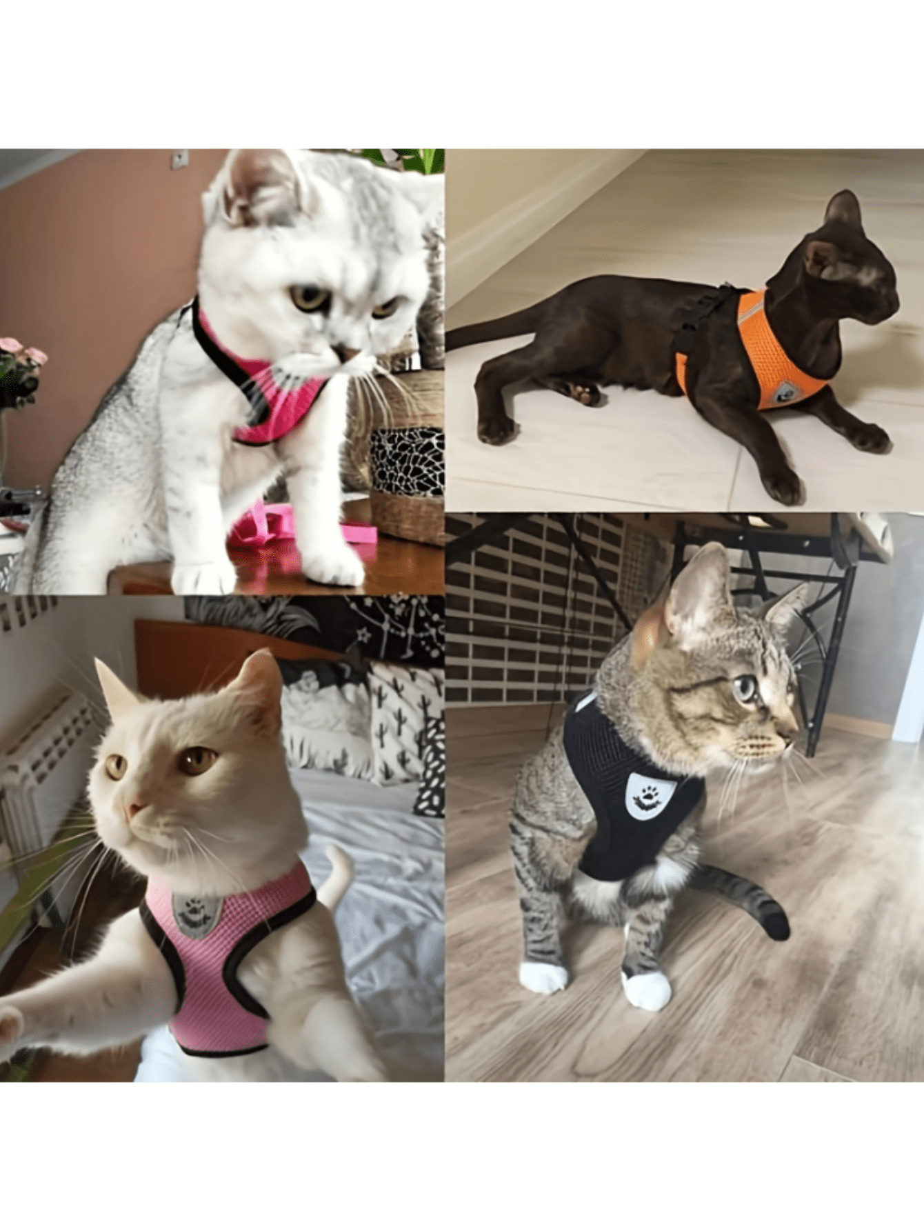 Pet cat and dog leash set with adjustable escape-proof harness, reflective safety strap, collar, and soft breathable polyester mesh