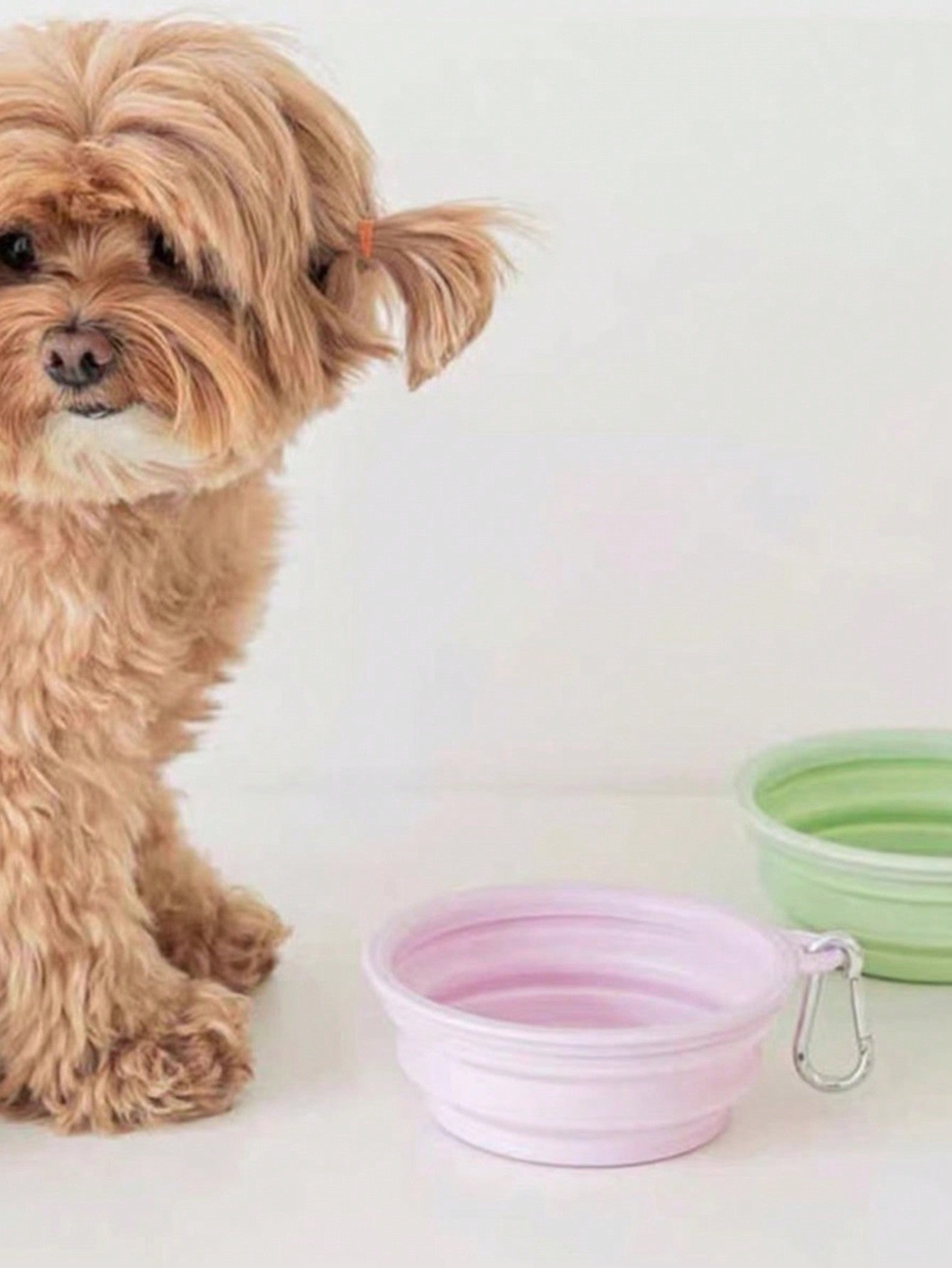 1pc Portable Pet Travel Bowl With Buckle, Foldable And Ideal For Outdoor Activities Christmas Gifts Water Bottle Camping
