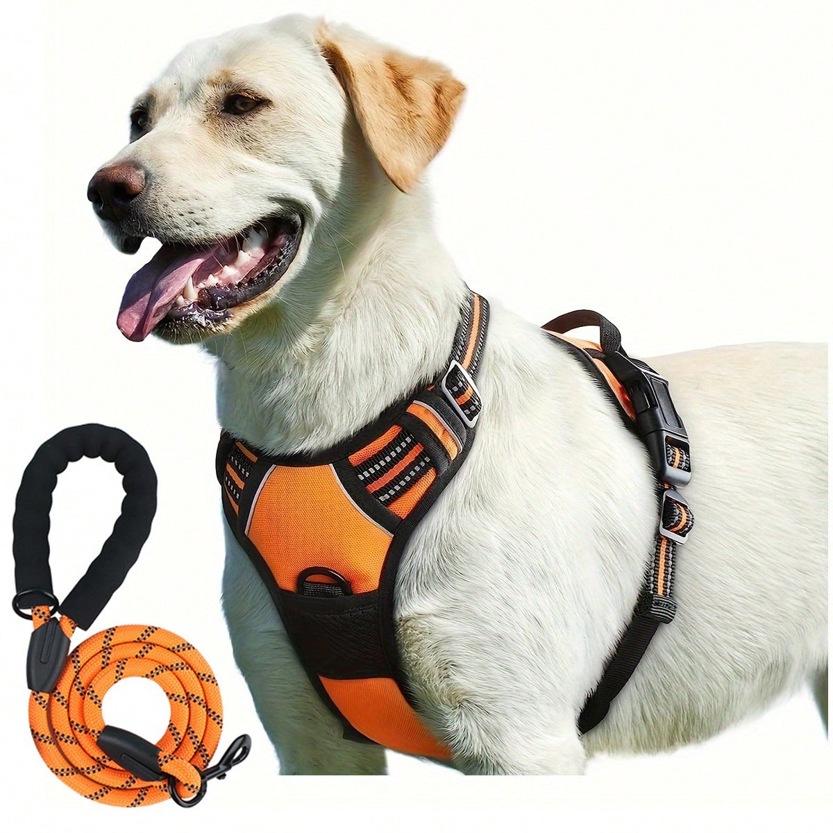 Reflective dog harness and 1.5m leash set with breathable colorblock polyamide chest strap for cats, puppies, and small to large dogs