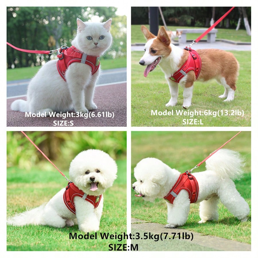 Adjustable vest-style pet harness and leash set for small and medium dogs and cats, made with breathable mesh and reflective stripes for no-pull walking.