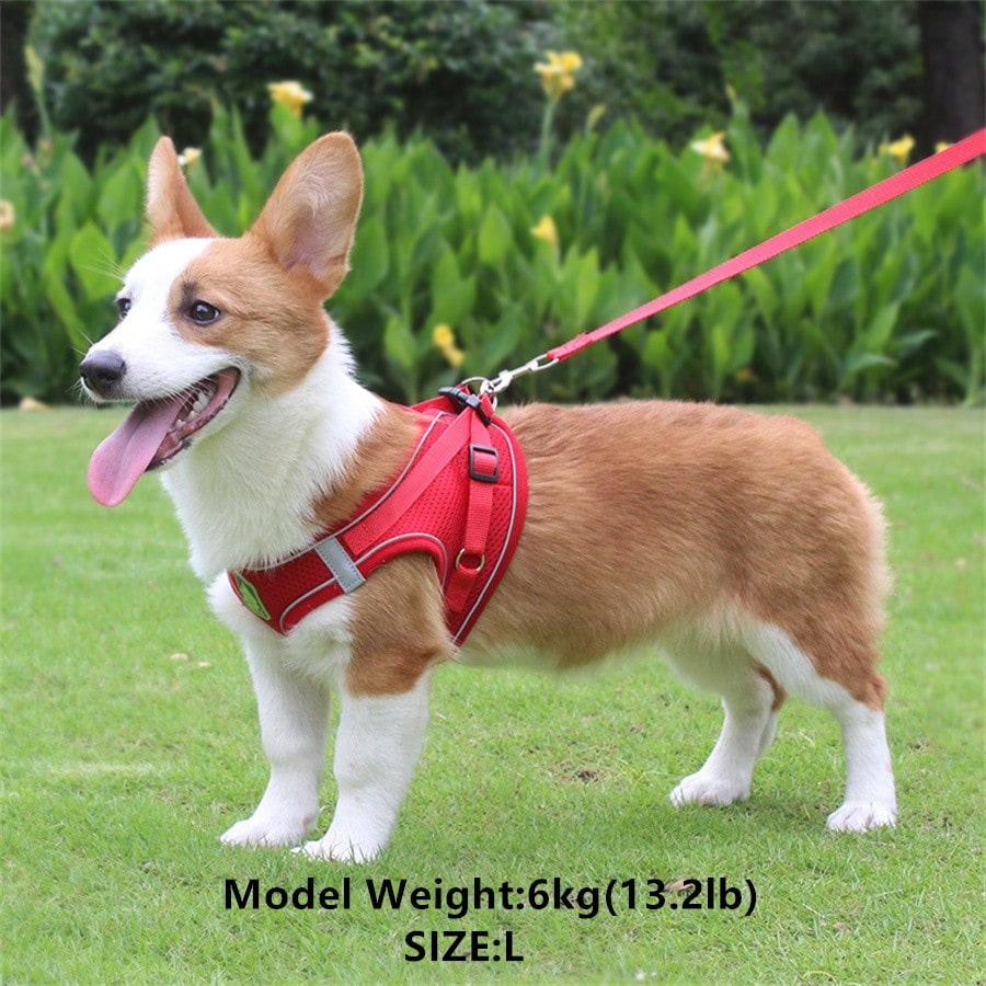 Adjustable vest-style pet harness and leash set for small and medium dogs and cats, made with breathable mesh and reflective stripes for no-pull walking.
