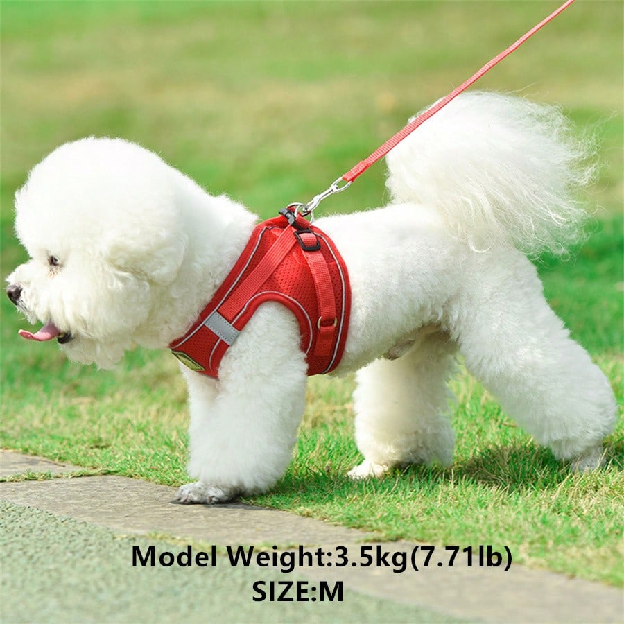 Adjustable vest-style pet harness and leash set for small and medium dogs and cats, made with breathable mesh and reflective stripes for no-pull walking.