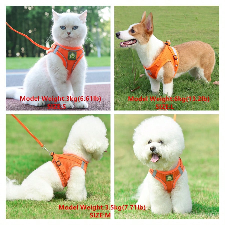Adjustable vest-style pet harness and leash set for small and medium dogs and cats, made with breathable mesh and reflective stripes for no-pull walking.