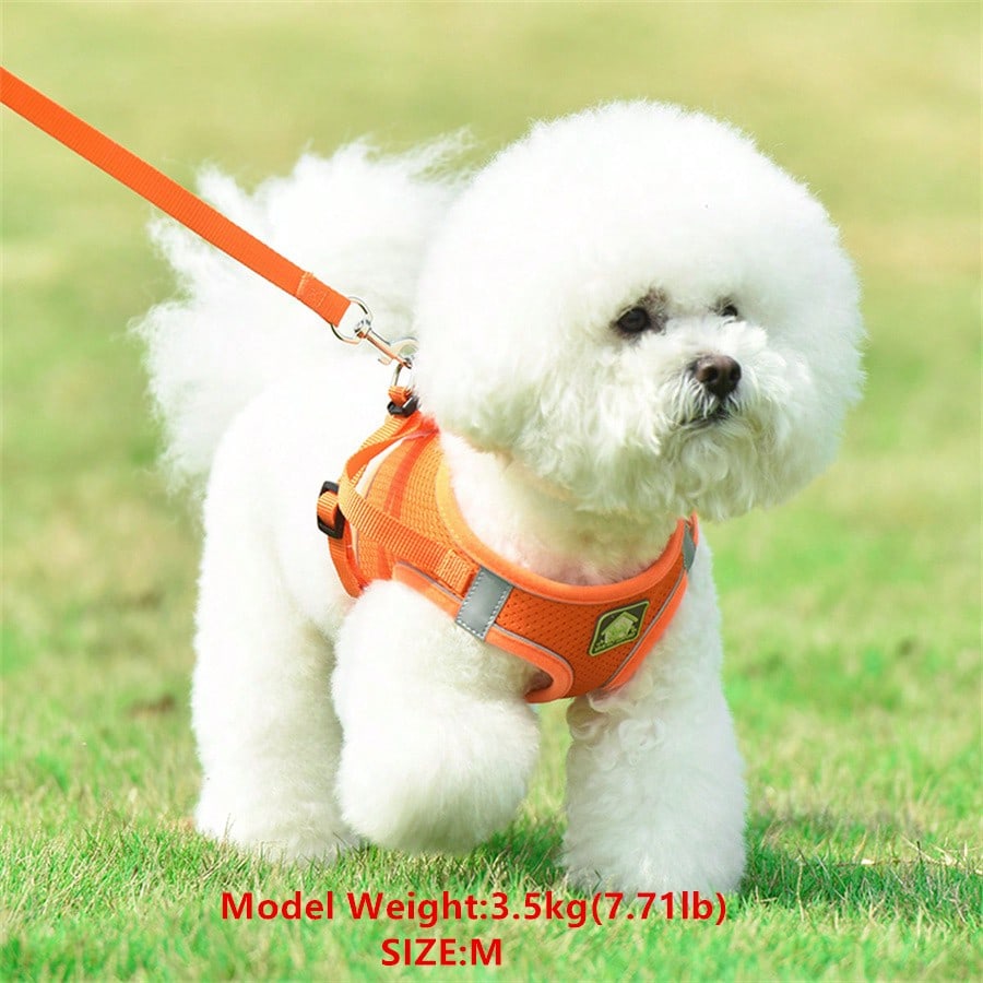 Adjustable vest-style pet harness and leash set for small and medium dogs and cats, made with breathable mesh and reflective stripes for no-pull walking.