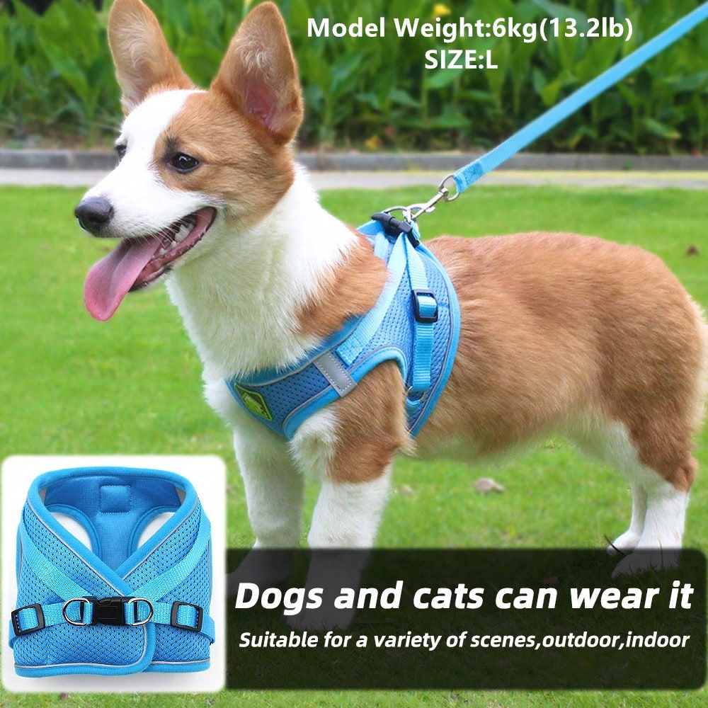 Adjustable vest-style pet harness and leash set for small and medium dogs and cats, made with breathable mesh and reflective stripes for no-pull walking.
