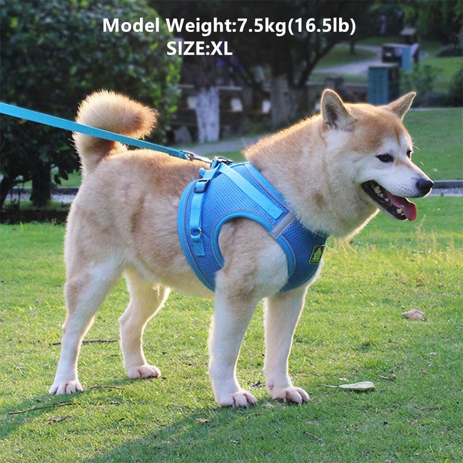 Adjustable vest-style pet harness and leash set for small and medium dogs and cats, made with breathable mesh and reflective stripes for no-pull walking.
