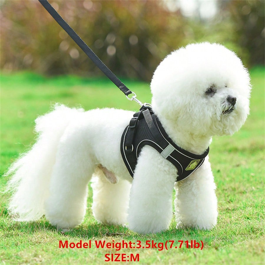 Adjustable vest-style pet harness and leash set for small and medium dogs and cats, made with breathable mesh and reflective stripes for no-pull walking.
