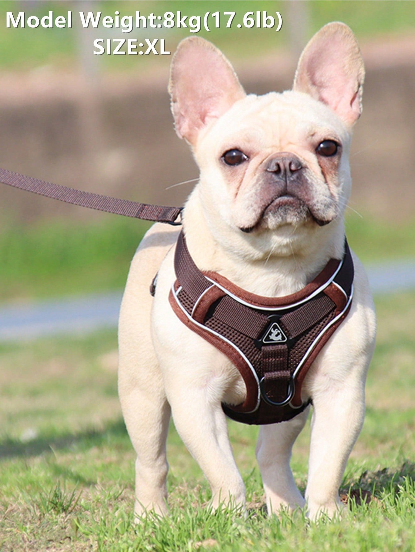 Coffee brown reflective pet harness and leash set for cat or dog with adjustable escape-proof soft mesh design