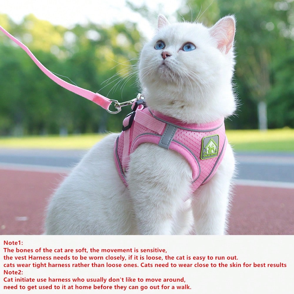 Adjustable vest-style pet harness and leash set for small and medium dogs and cats, made with breathable mesh and reflective stripes for no-pull walking.