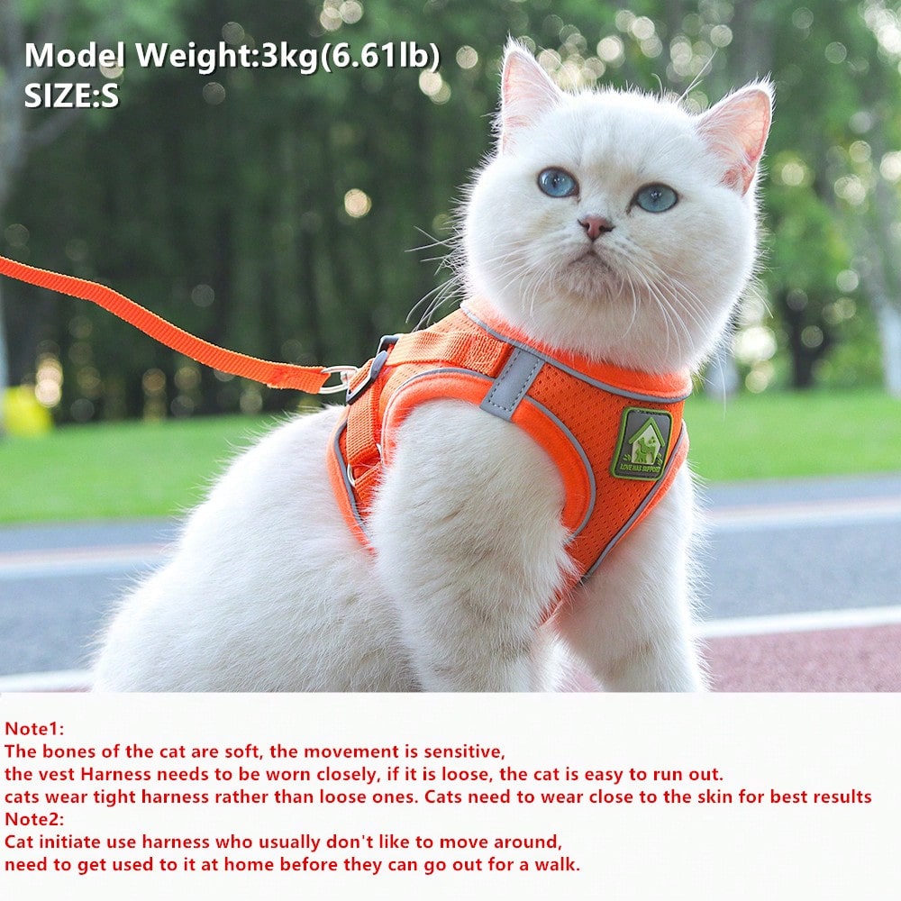 Adjustable vest-style pet harness and leash set for small and medium dogs and cats, made with breathable mesh and reflective stripes for no-pull walking.