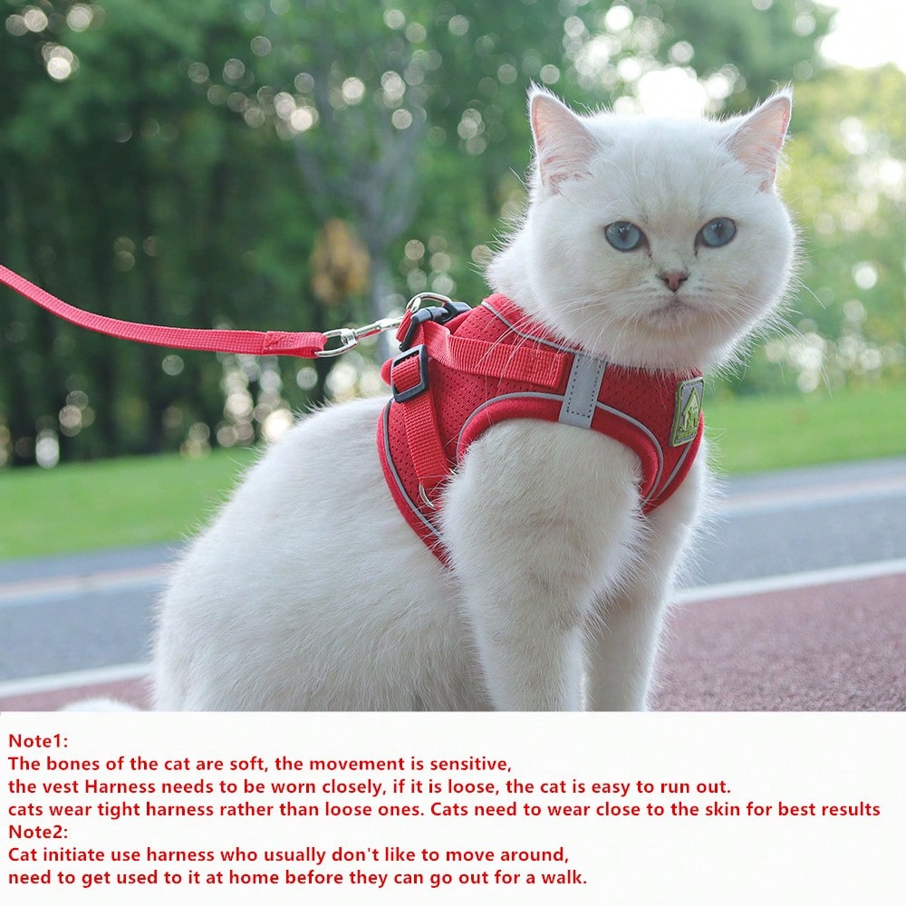 Adjustable vest-style pet harness and leash set for small and medium dogs and cats, made with breathable mesh and reflective stripes for no-pull walking.