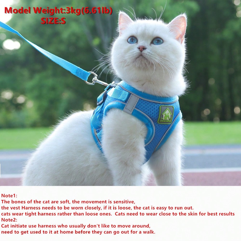 Adjustable vest-style pet harness and leash set for small and medium dogs and cats, made with breathable mesh and reflective stripes for no-pull walking.