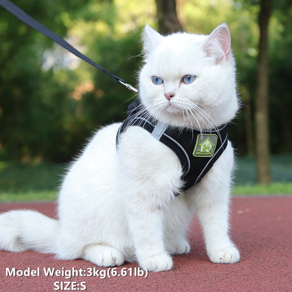 Adjustable vest-style pet harness and leash set for small and medium dogs and cats, made with breathable mesh and reflective stripes for no-pull walking.