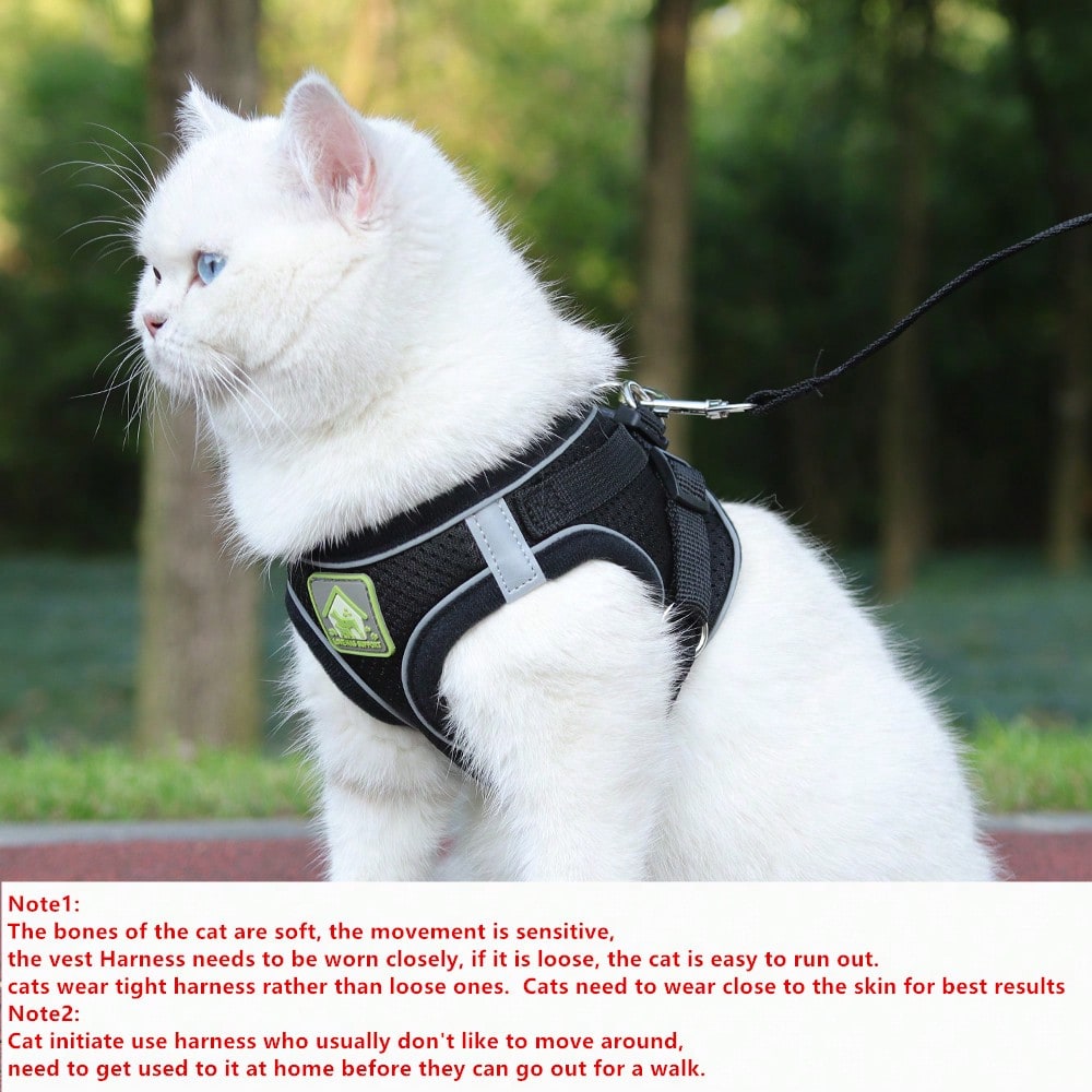 Adjustable vest-style pet harness and leash set for small and medium dogs and cats, made with breathable mesh and reflective stripes for no-pull walking.