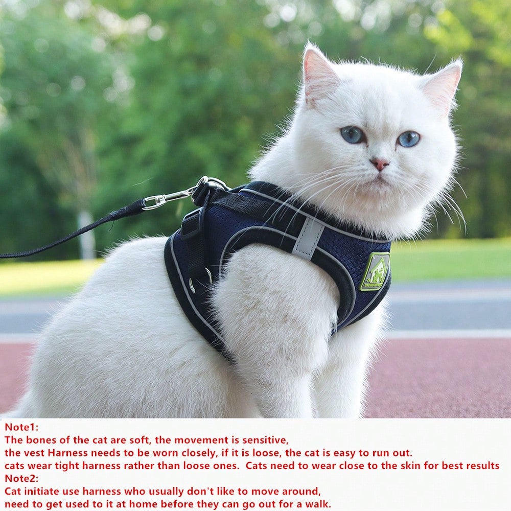Adjustable vest-style pet harness and leash set for small and medium dogs and cats, made with breathable mesh and reflective stripes for no-pull walking.
