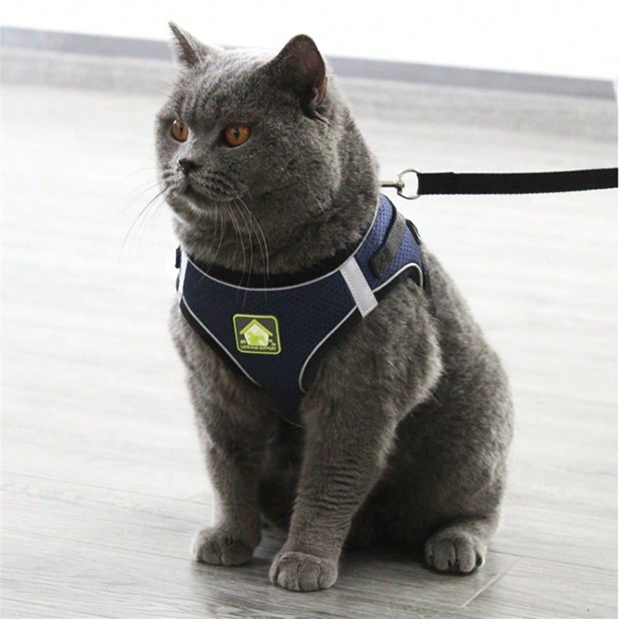 Adjustable vest-style pet harness and leash set for small and medium dogs and cats, made with breathable mesh and reflective stripes for no-pull walking.