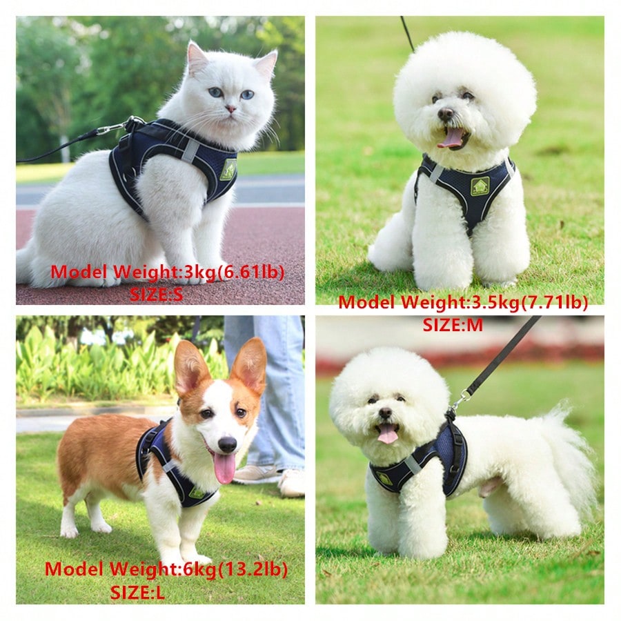 Adjustable vest-style pet harness and leash set for small and medium dogs and cats, made with breathable mesh and reflective stripes for no-pull walking.
