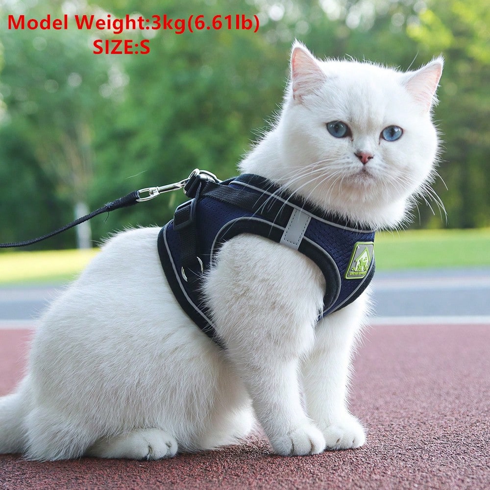 Adjustable vest-style pet harness and leash set for small and medium dogs and cats, made with breathable mesh and reflective stripes for no-pull walking.