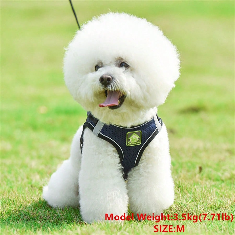 Adjustable vest-style pet harness and leash set for small and medium dogs and cats, made with breathable mesh and reflective stripes for no-pull walking.