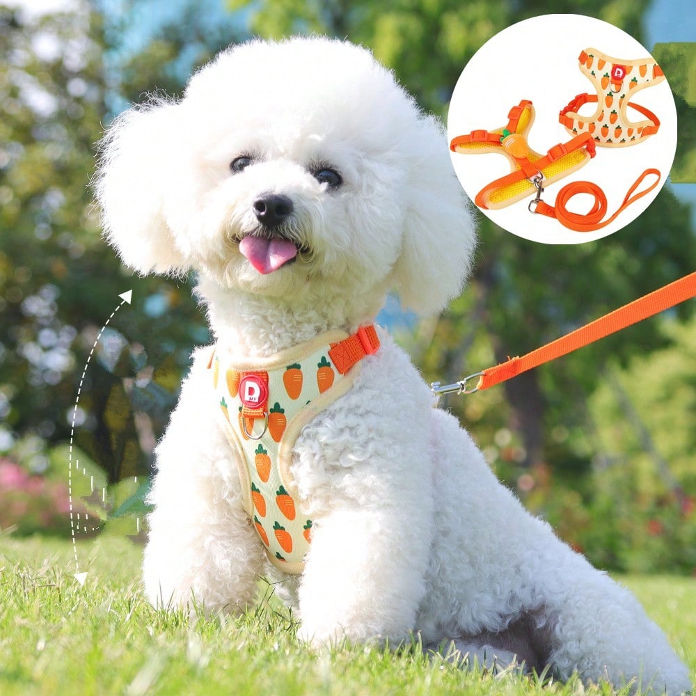 Adjustable polyester pet harness and leash set for cats and small dogs, designed as an anti-escape walking vest for outdoor use.