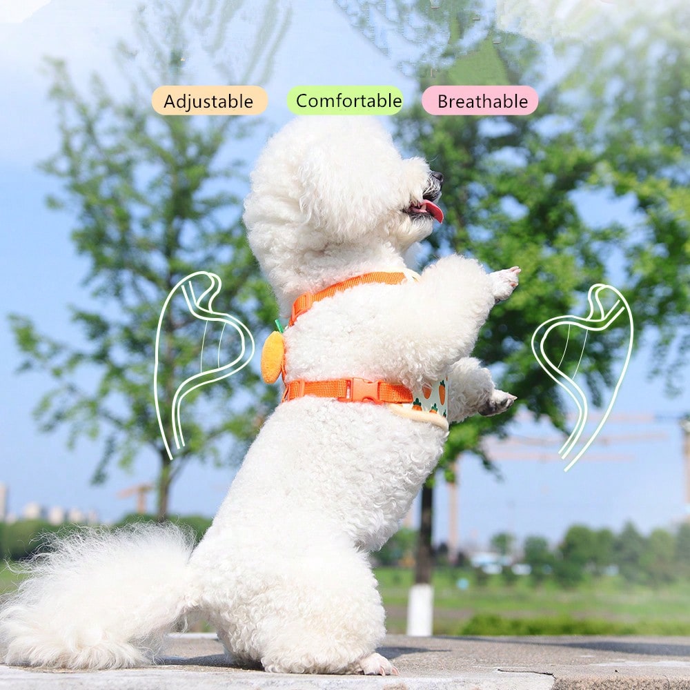 Adjustable polyester pet harness and leash set for cats and small dogs, designed as an anti-escape walking vest for outdoor use.