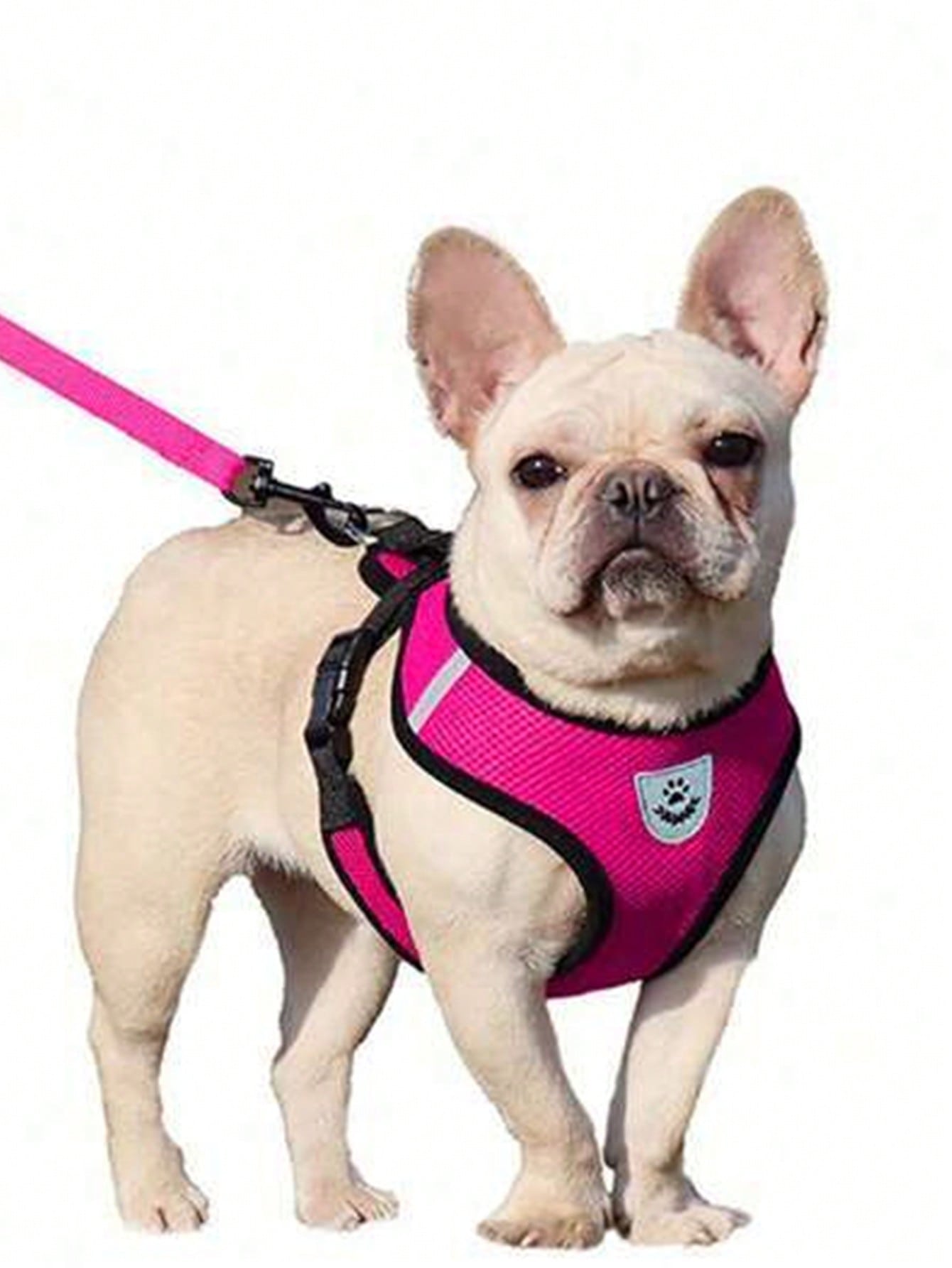 Hot pink colorblock polyester pet harness leash with anti-pulling chest strap for outdoor walking with dogs or cats, 120cm length