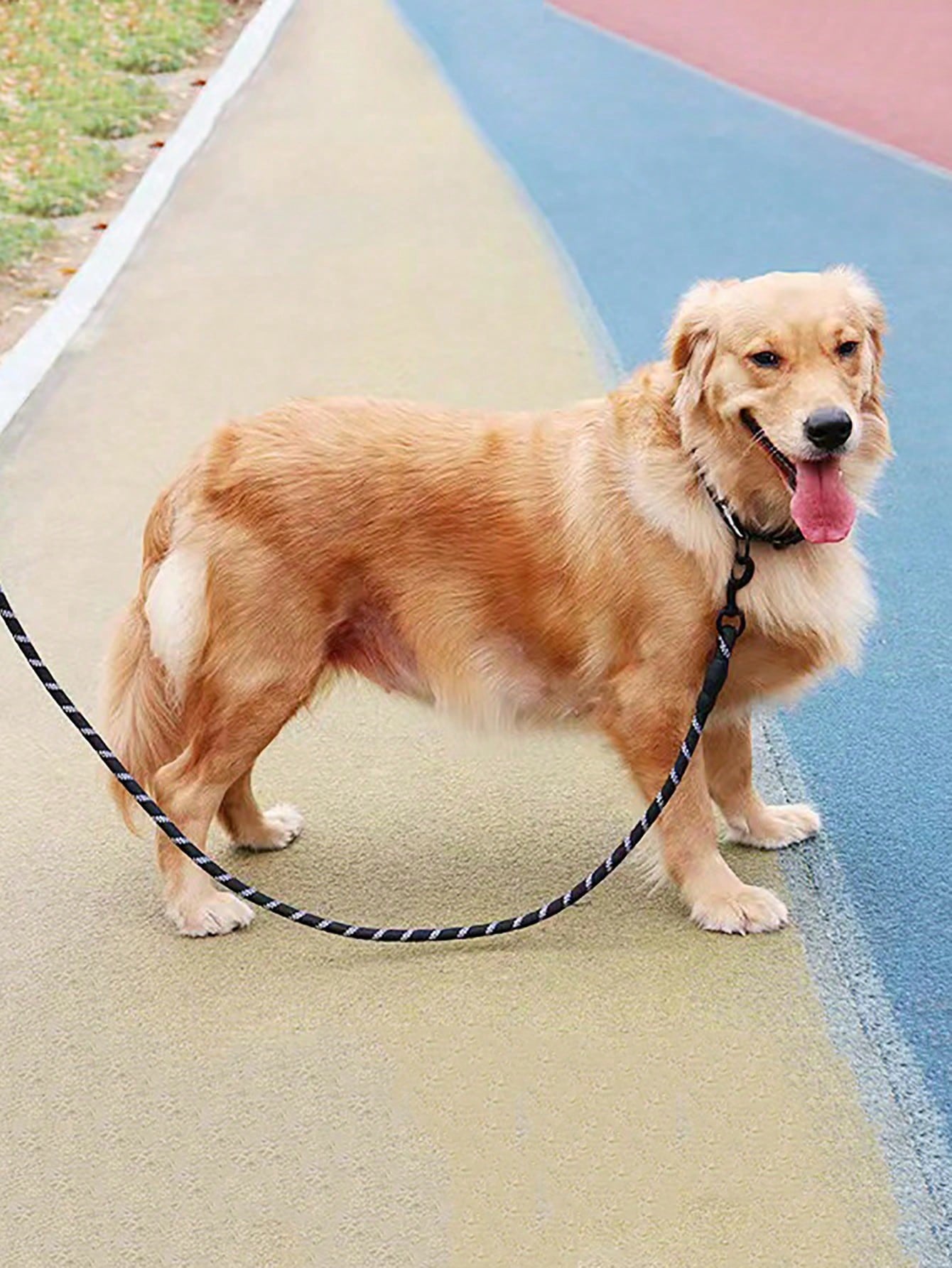 Set of 2 black reflective polyamide pet leashes for cats and dogs, designed for comfortable walking and training without choking or pulling