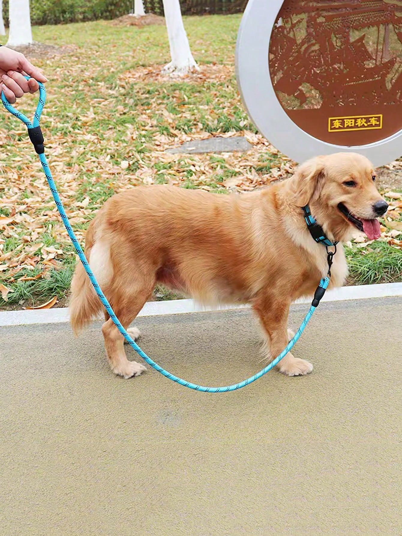 Set of 2 black reflective polyamide pet leashes for cats and dogs, designed for comfortable walking and training without choking or pulling