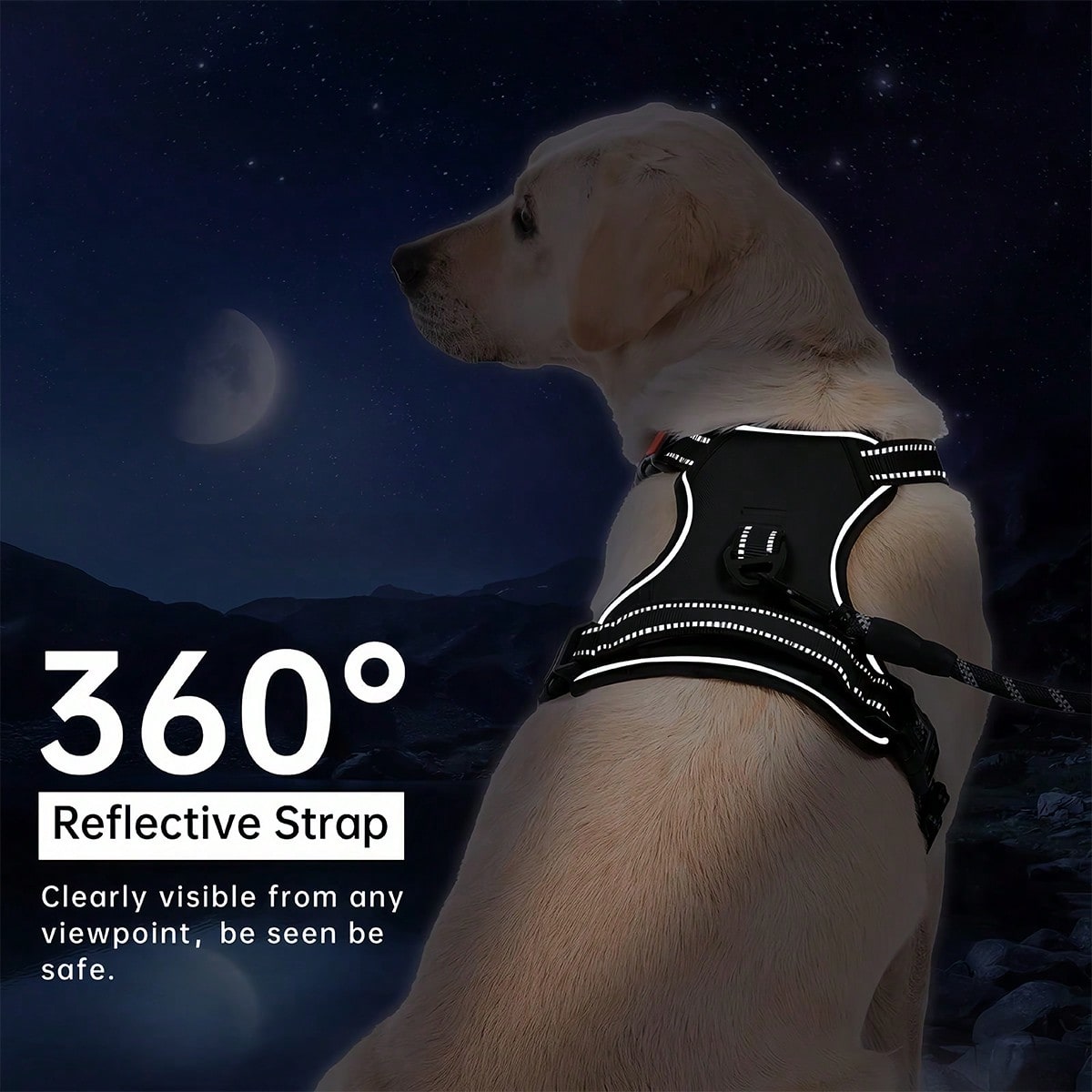 Multicolor reflective dog harness leash collar set with padded adjustable polyester vest and front and back control handles for outdoor walks