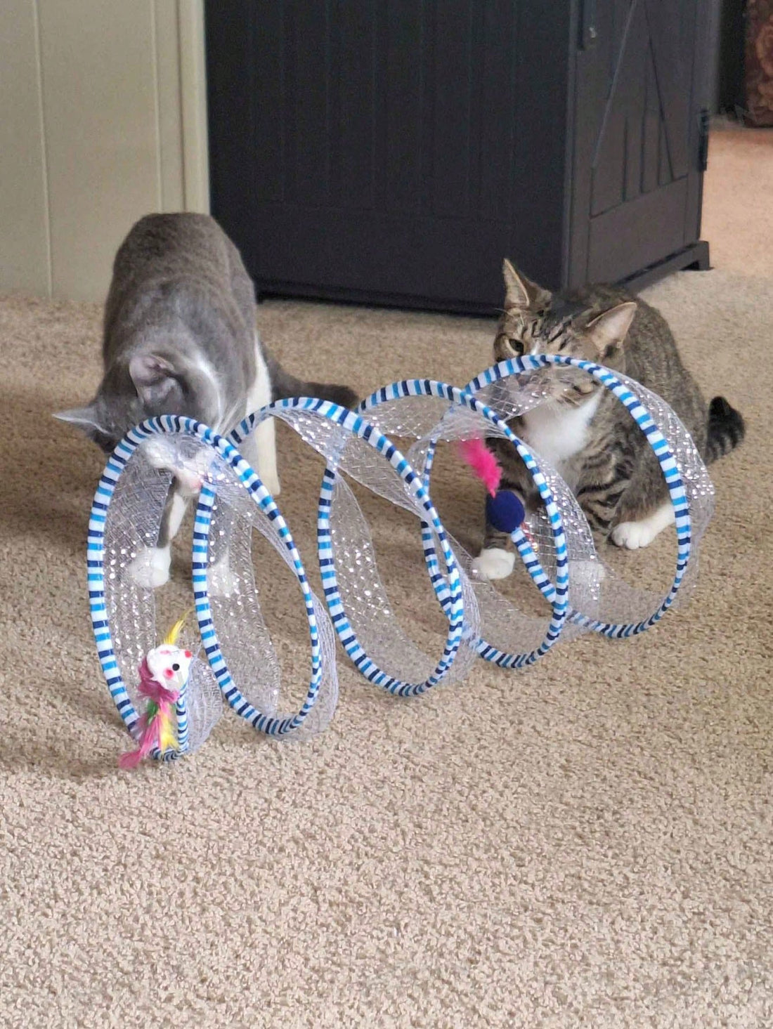 S-Shape Cat Tunnel Toy, Wire Mesh & Gauze Patchwork Design, Foldable With Sound Effect, Suitable For Indoor Family Entertainment & Stress Relief