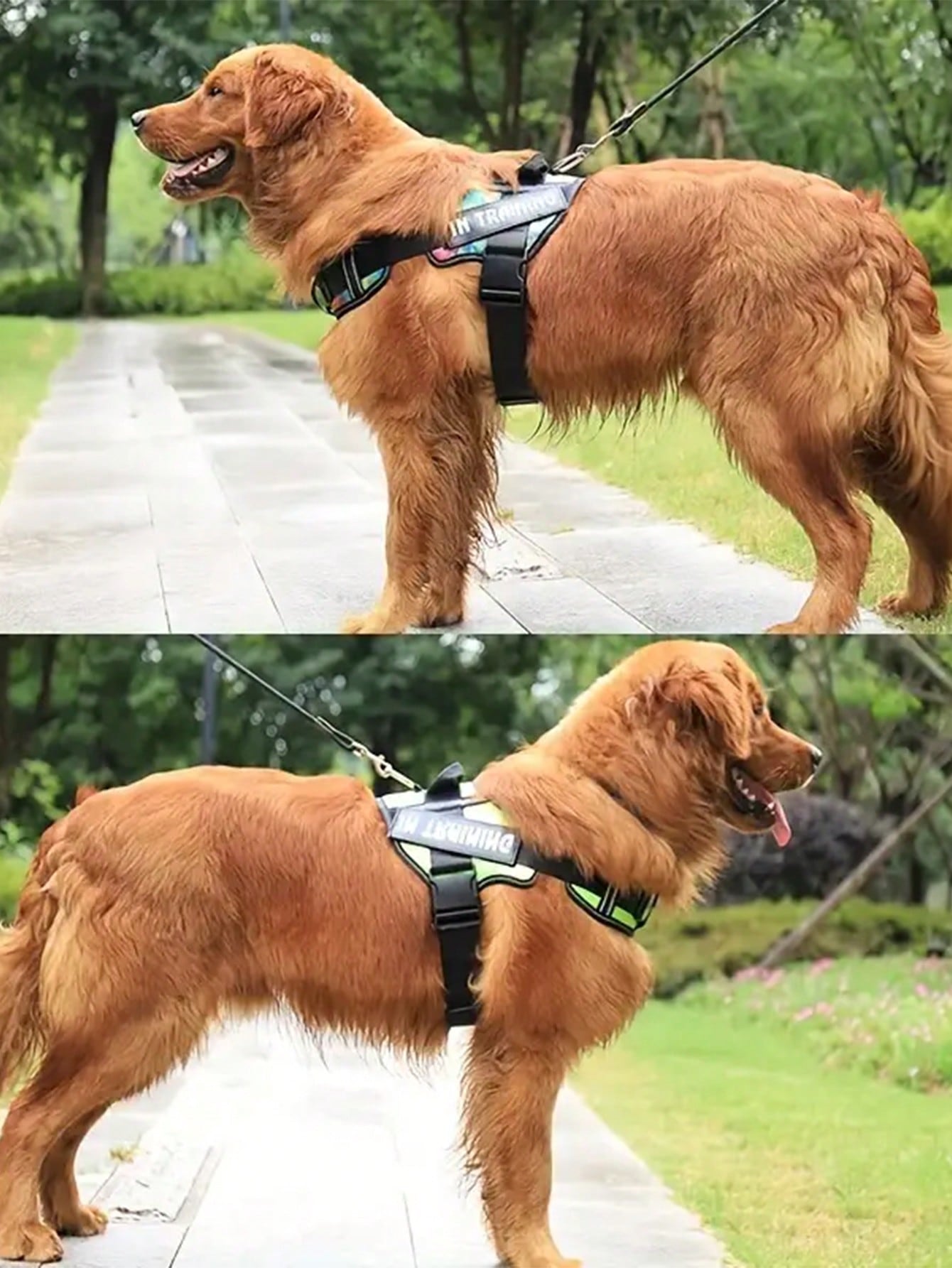 Multicolor reflective no-pull dog harness training vest with adjustable breathable chest strap for small, medium, and large dogs