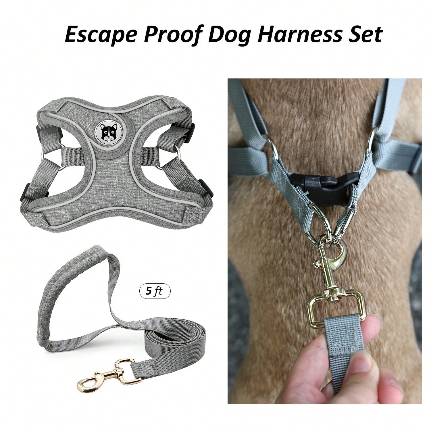 Adjustable padded dog harness set with leash in a reflective vest style for small and medium dogs, polyester colorblock design