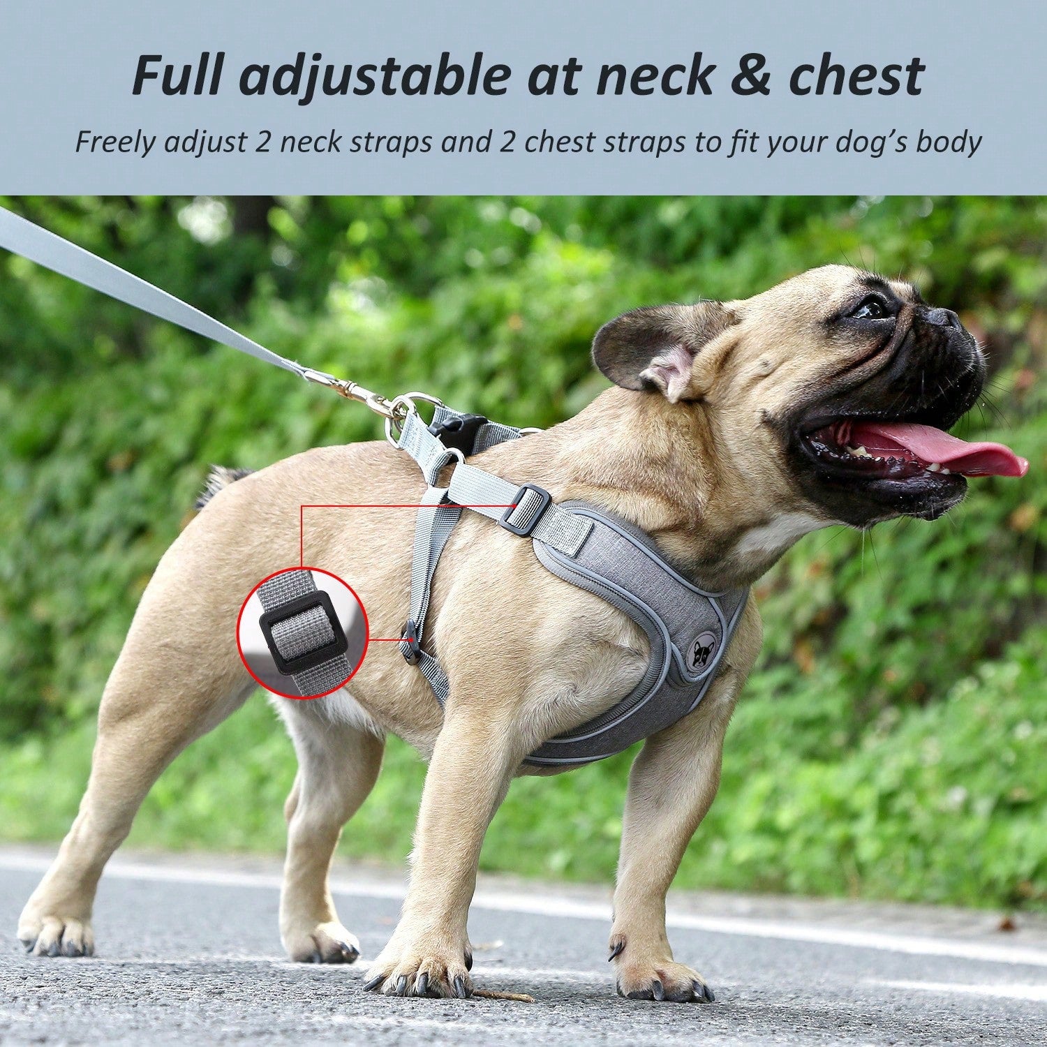 Adjustable padded dog harness set with leash in a reflective vest style for small and medium dogs, polyester colorblock design