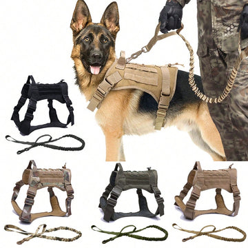 Multicolor polyamide dog harness and leash set with Molle vest design, handle, and hook and loop patch panel for walking, hiking, and training