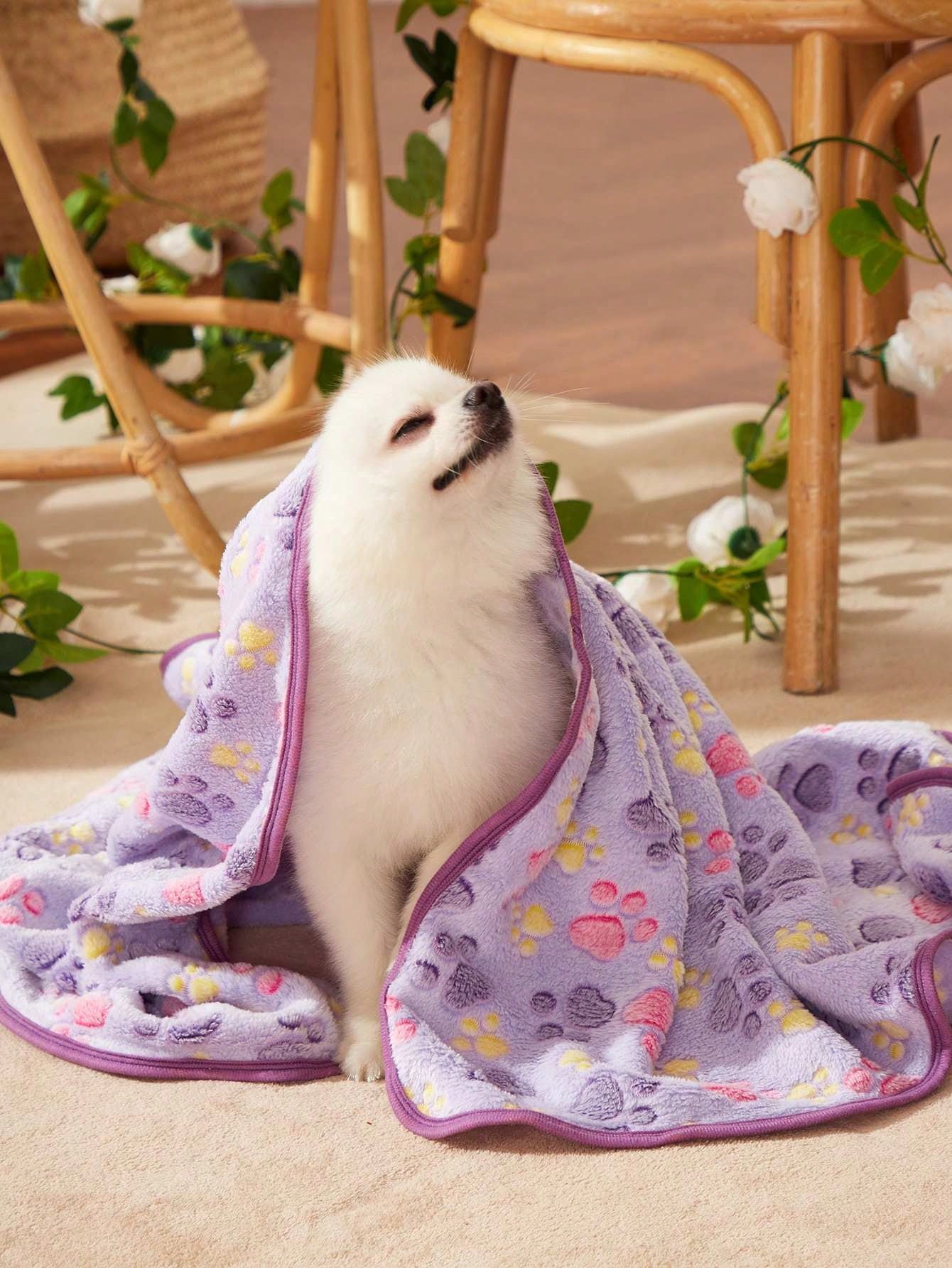 Warm plush pet blanket featuring a multicolor cartoon cat and plant print pattern, made from 100% polyester fabric for cats and dogs.