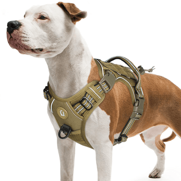 Adjustable tactical dog harness in military vest style with double metal hook and anti-pull design for dog training and walking