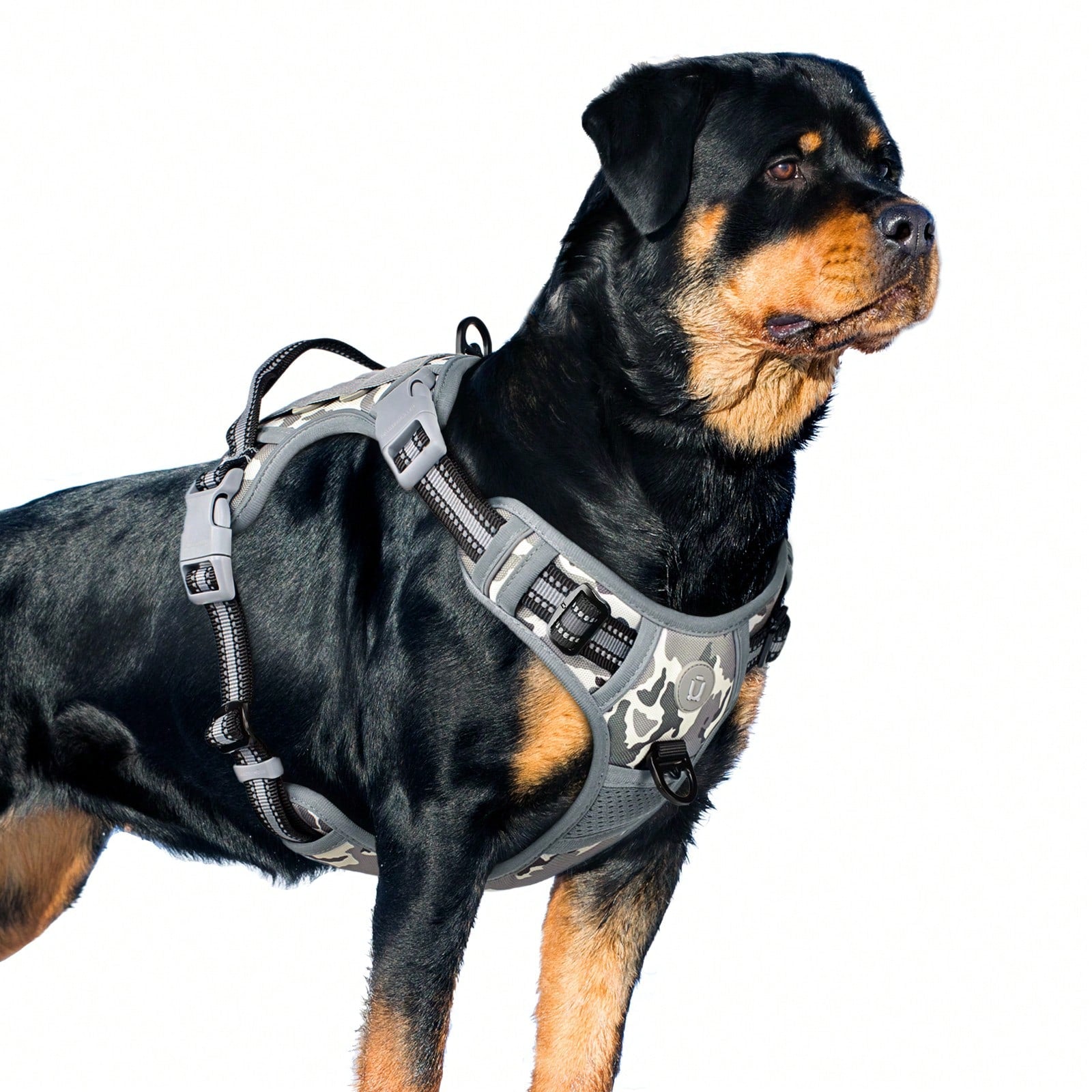 Adjustable tactical dog harness in military vest style with double metal hook and anti-pull design for dog training and walking