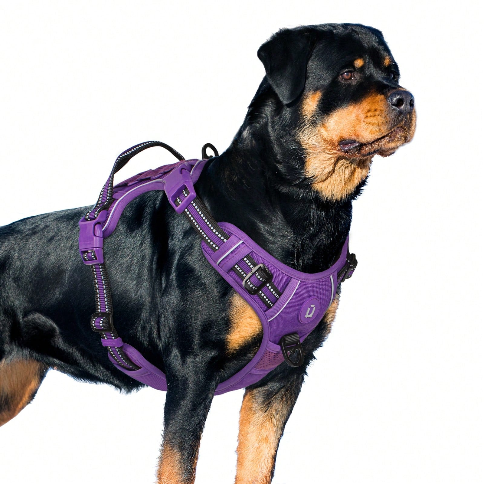 Adjustable tactical dog harness in military vest style with double metal hook and anti-pull design for dog training and walking