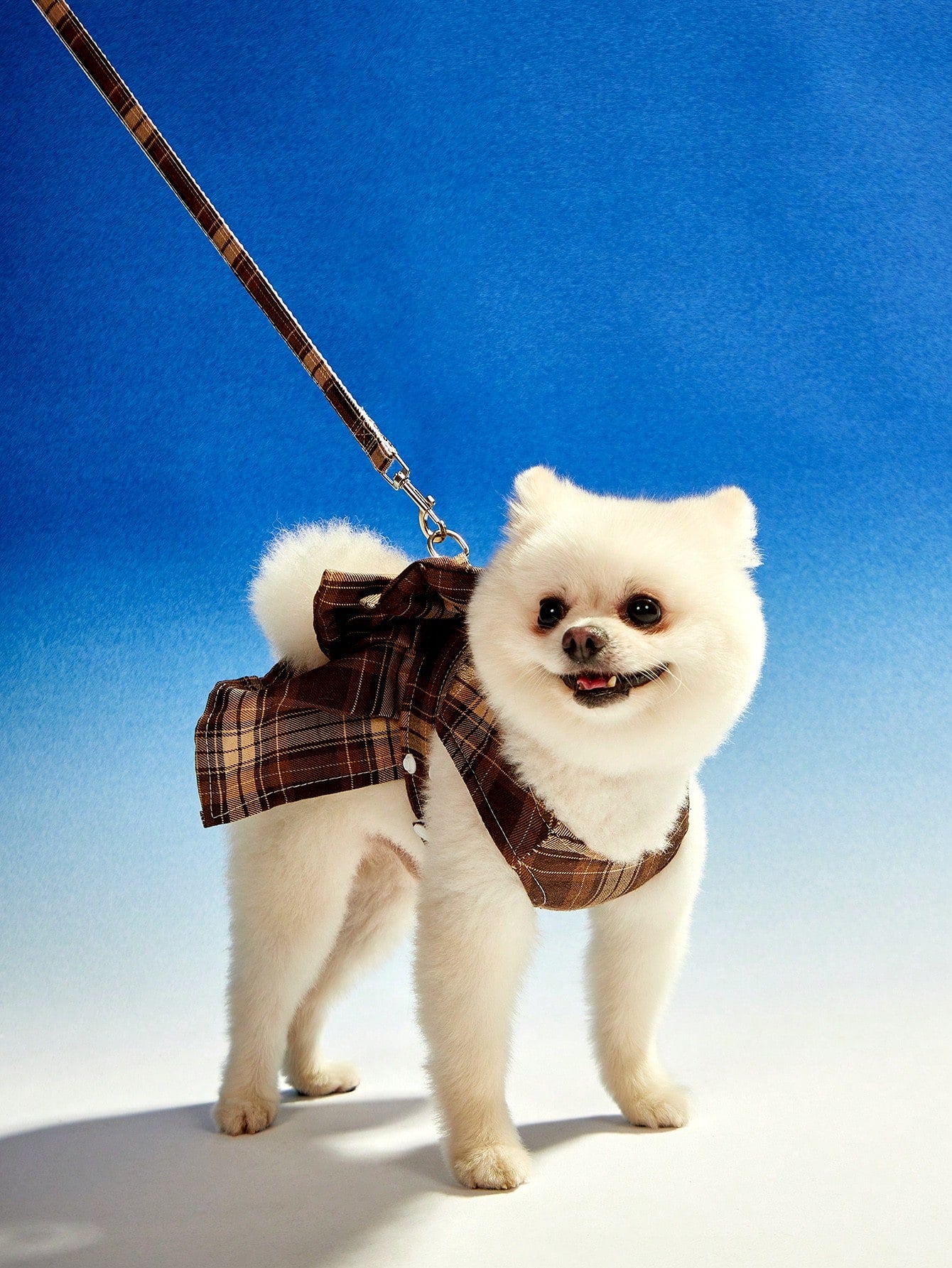 Multicolor plaid pet collar and leash set with bow detail for cats and dogs, made from polyester