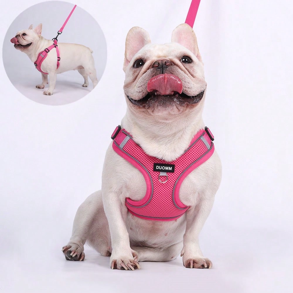 Black reflective dog leash set with adjustable polyester harness and collar, soft breathable mesh design for small and medium dogs during outdoor walks
