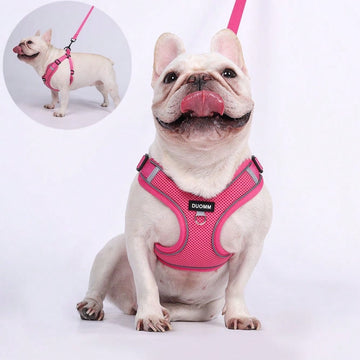 Black reflective dog leash set with adjustable polyester harness and collar, soft breathable mesh design for small and medium dogs during outdoor walks