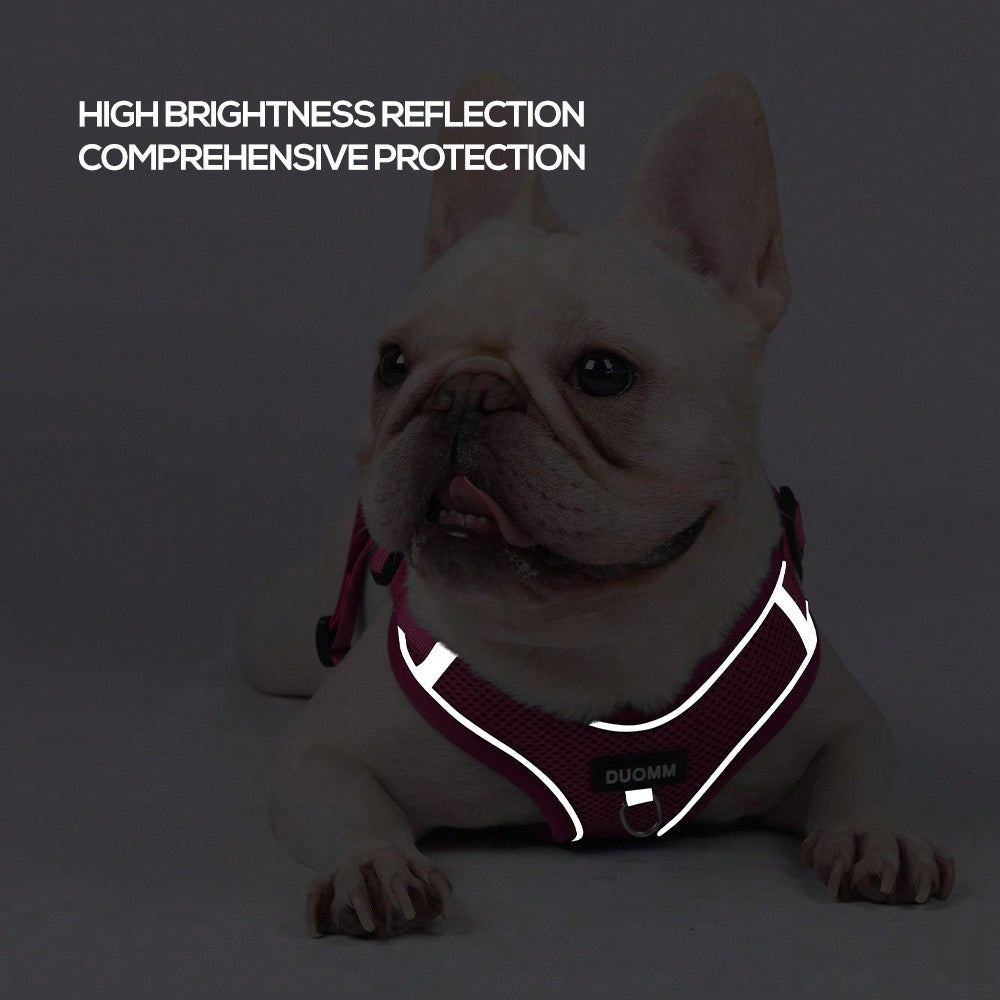 Black reflective dog leash set with adjustable polyester harness and collar, soft breathable mesh design for small and medium dogs during outdoor walks
