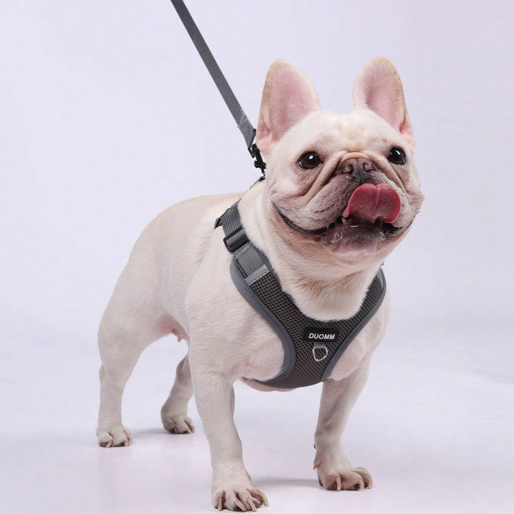 Black reflective dog leash set with adjustable polyester harness and collar, soft breathable mesh design for small and medium dogs during outdoor walks